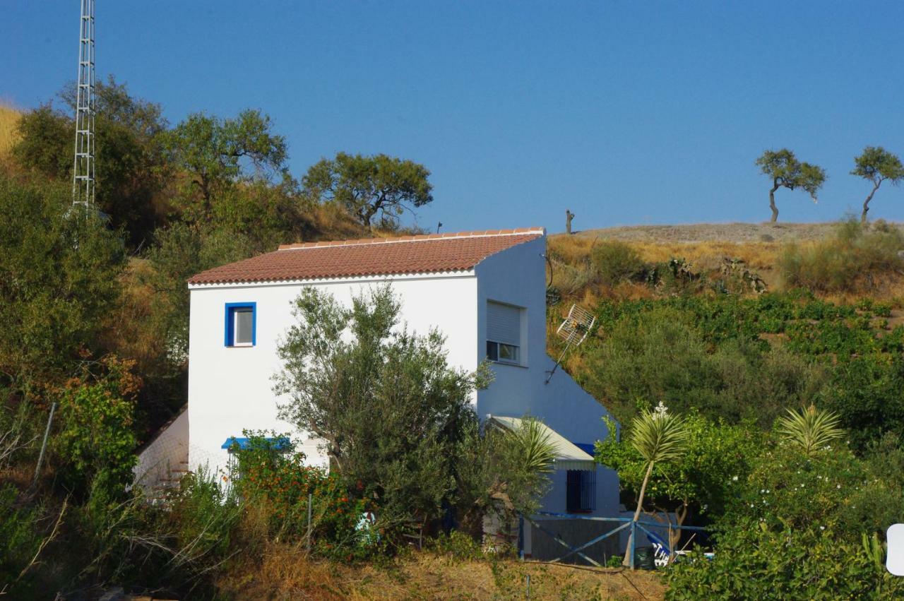 Villa Casa Feliz à Iznate Extérieur photo
